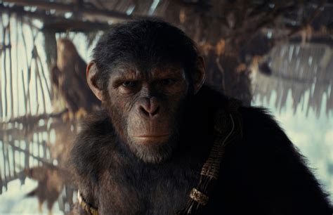 Kingdom of the Planet of the Apes (2024) .
